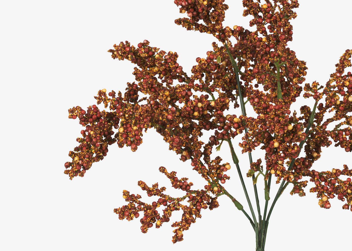 Branche de fleurs fructifiées Esther tam