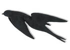 Swallows I Wall Decor