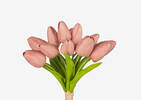 Berdine Tulip Bundle Clay