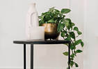 Novah Planter Large Gold