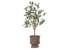 Annelle Planter Large Brown