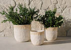 Olas Outdoor Planters