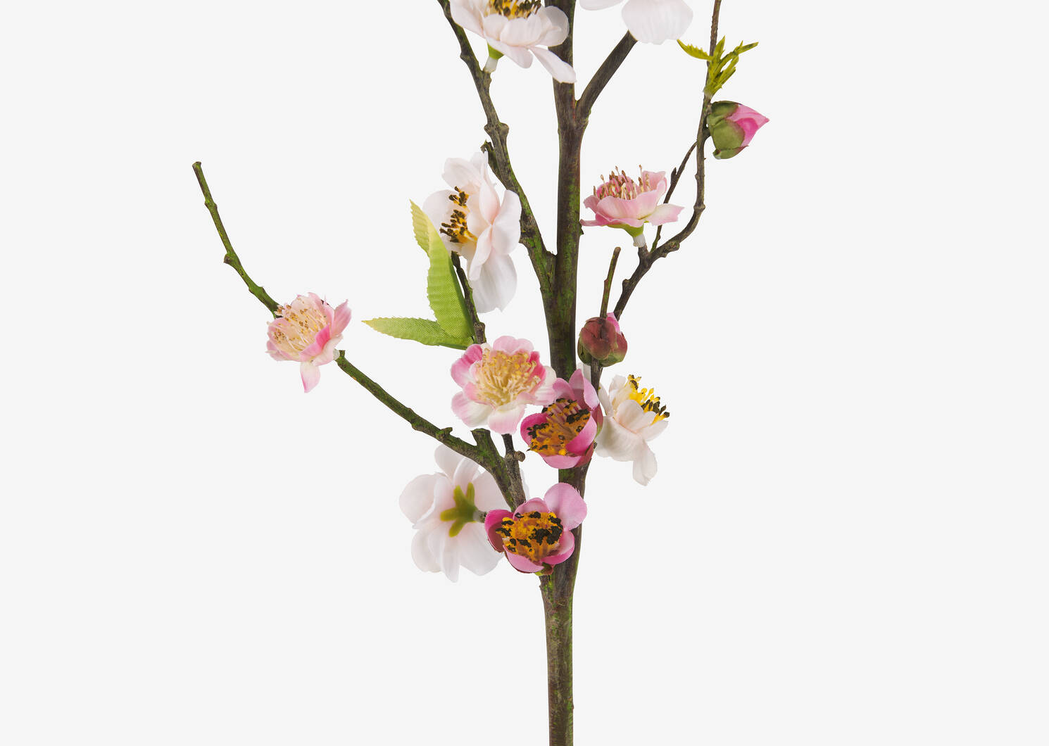 Tyra Cherry Blossom Branch Pink
