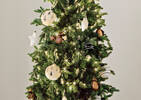 Bright Star Ornament