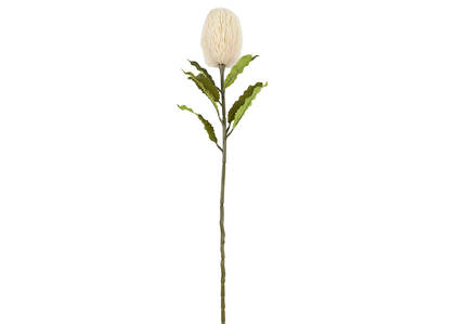Jocie Banksia Stem Ivory