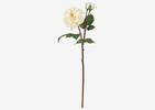 Talia Rose Branch White
