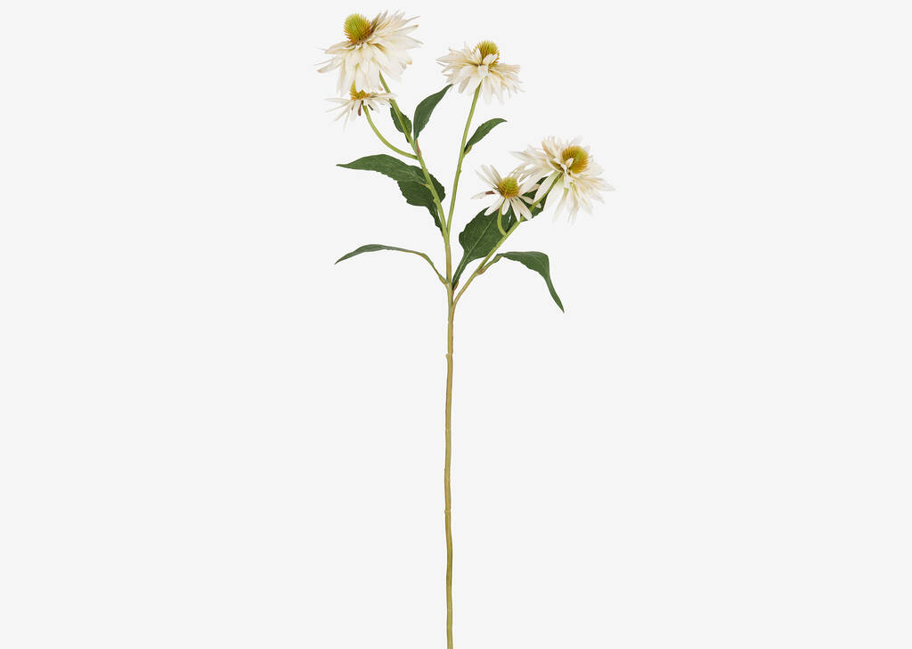 Cate Echinacea Stem Ivory