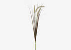 Tige d'herbes Gere ivoire