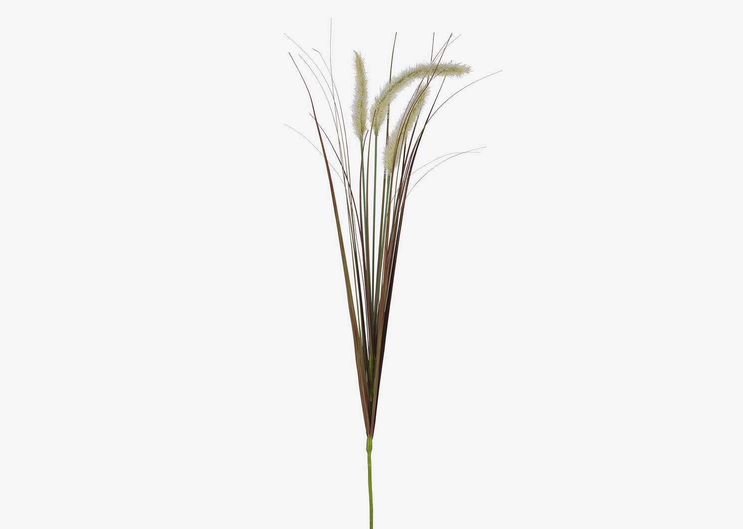 Tige d'herbes Gere ivoire
