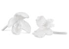 Evanora Orchid Decor Small White