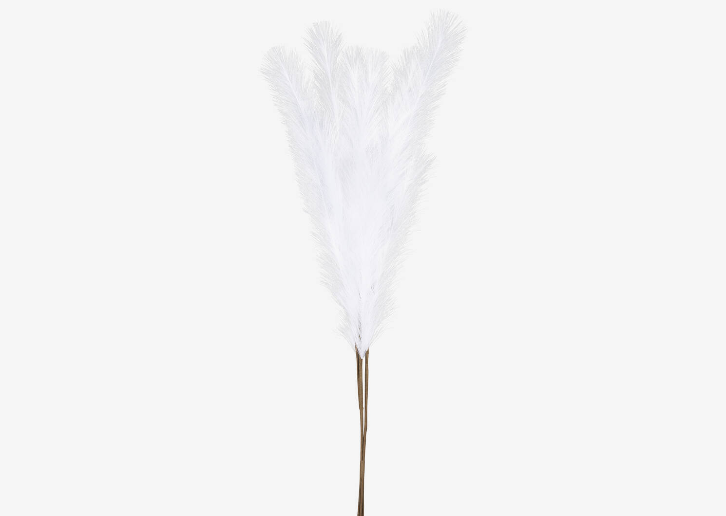 Bouquet d'herbe de la pampa Marianna bla