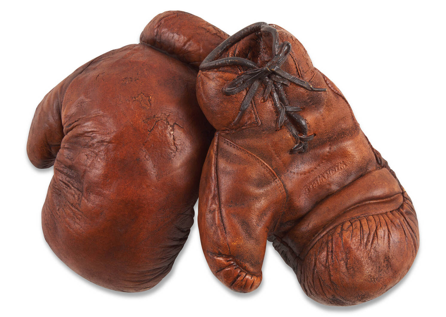 Tyson Boxing Gloves Decor