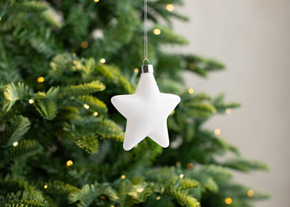 Bright Star Ornament
