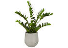 Misa Outdoor Planters