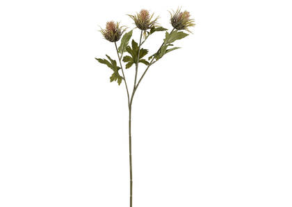 Thorne Teasel Branch Caramel