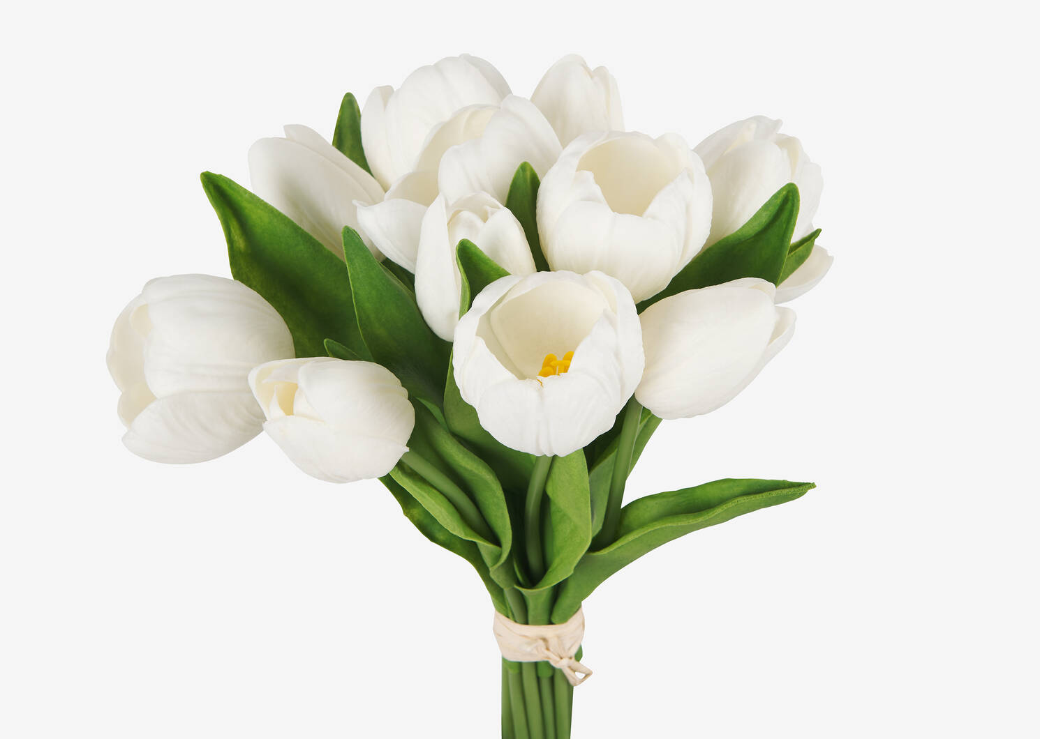 Bouquet de tulipes Agnes blanches