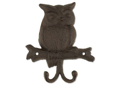 Lynelle Owl Wall Hook