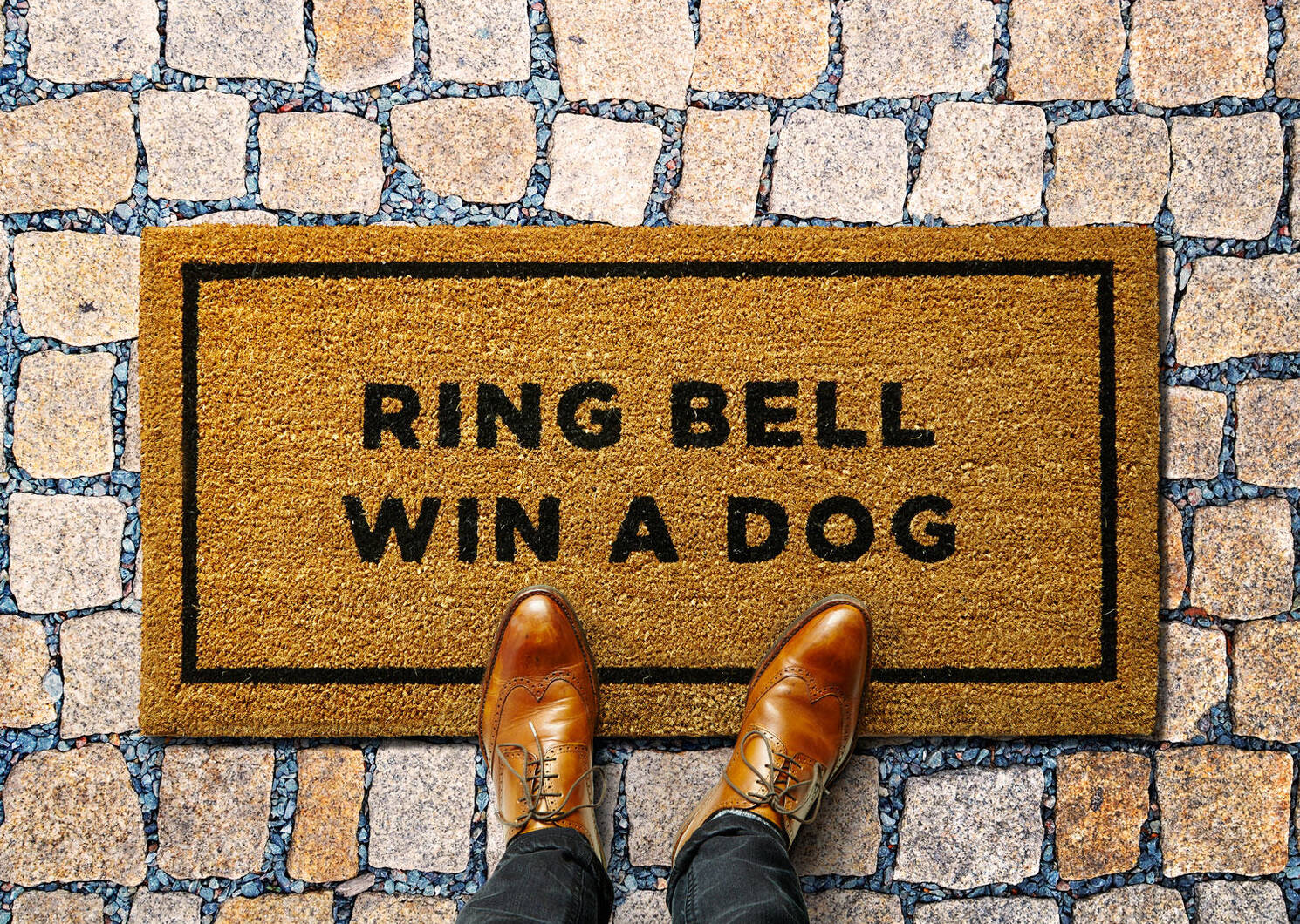 Ring Bell Win a Dog Doormat
