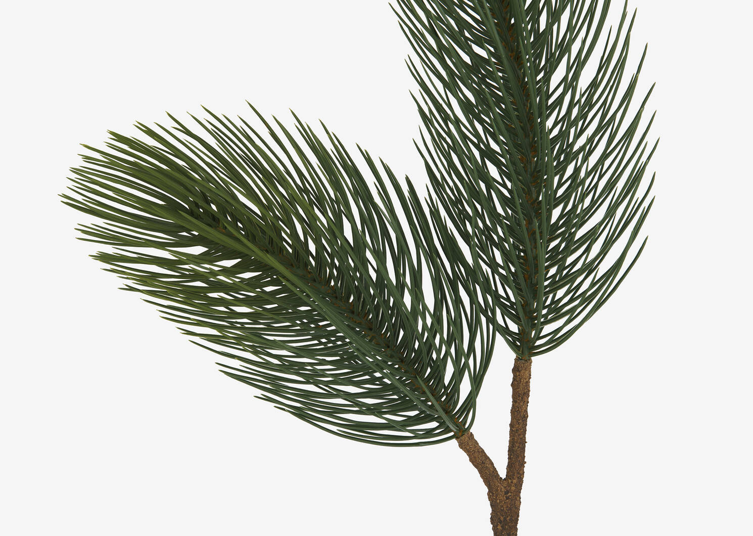 Konos Jumbo Pine Branch