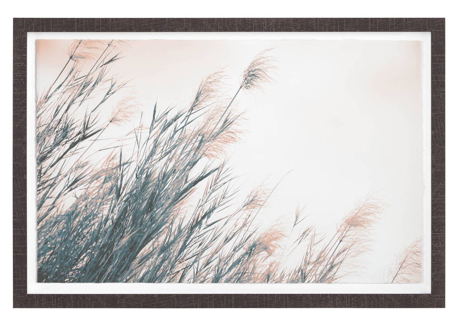 Pasture Framed Print