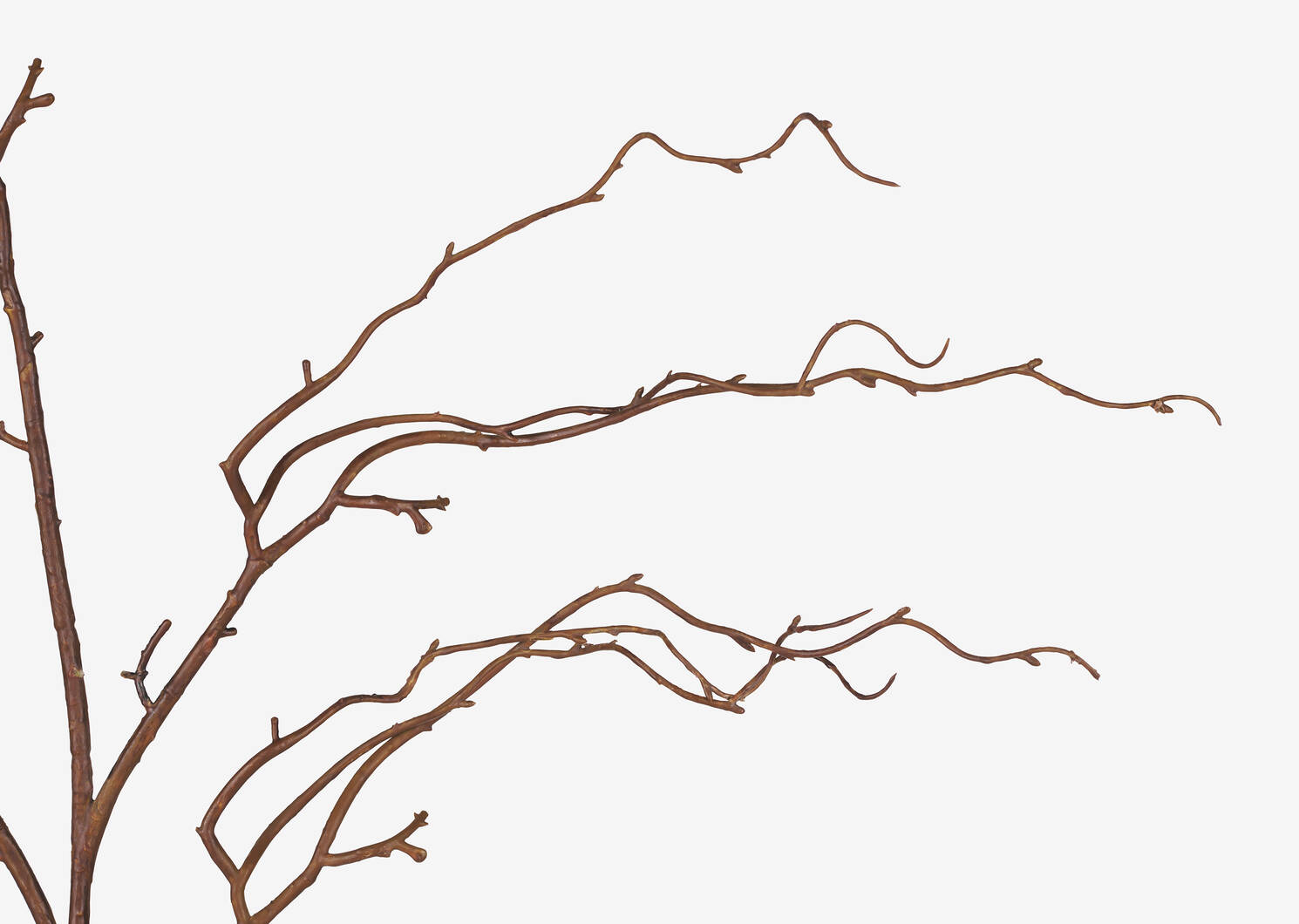 Liliana Willow Branch Stem