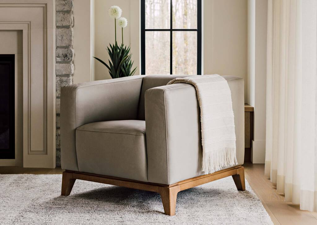 Pom Pom Mum Plant Potted