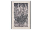 Swoon Framed Print