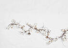 Blanche Cotton Garland
