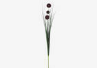 Bouquet d'alliums Heche porto