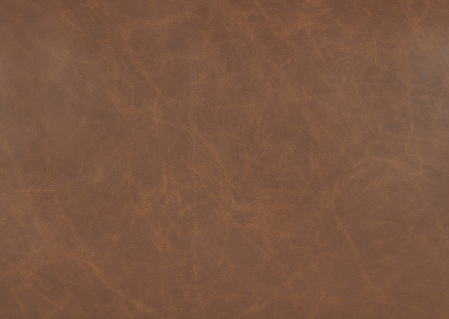 Brewer Leather Sofa -Piper Rye