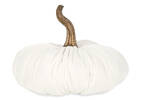 Fable Flocked Pumpkins