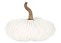 Fable Flocked Pumpkin Small