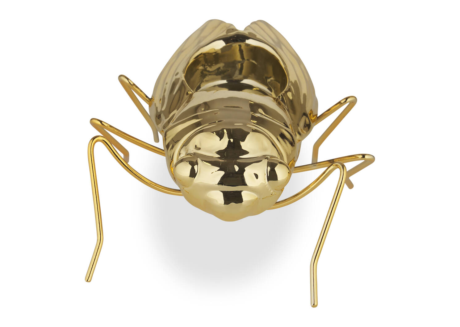 Porte-lumignon Cicada laiton