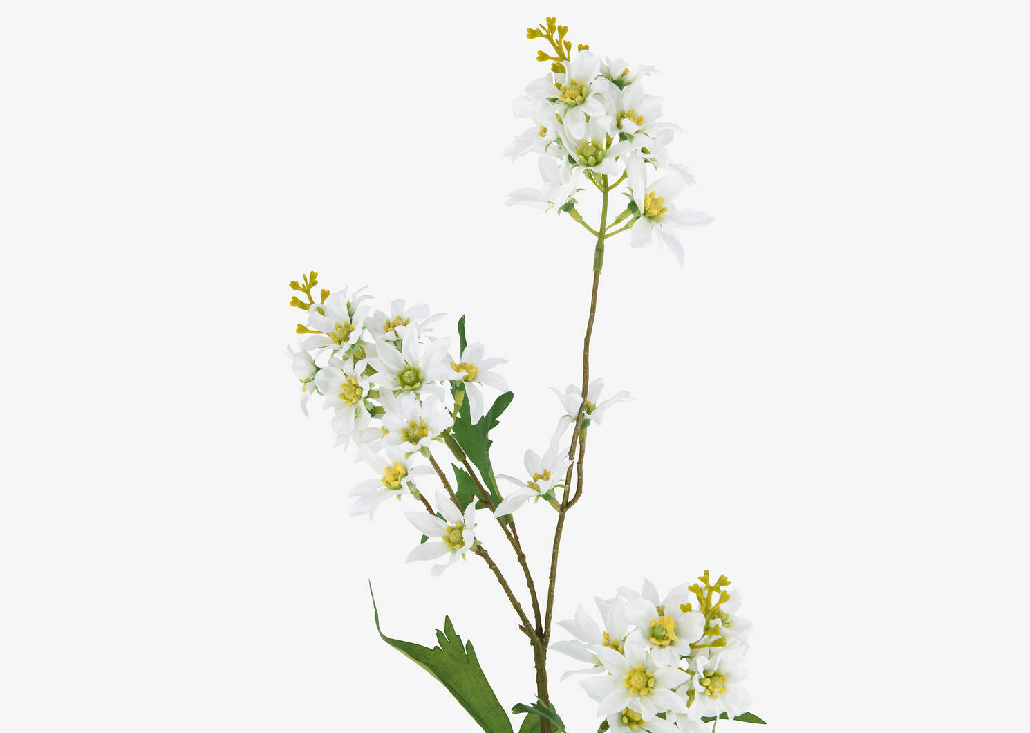 Mandi Floral Stem White