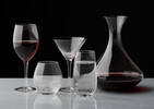 Santé! Highball Glass Clear