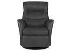 Paramount Power Recliner