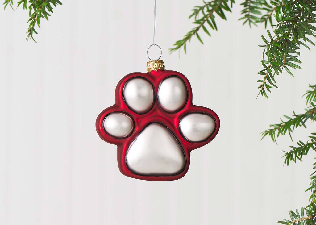 Orn. Pawz