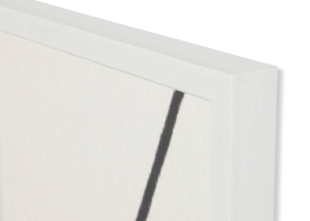 Tails Framed Print