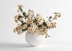 Kya Cherry Blossom Branch Ivory