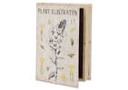Illustration Book Box Large Ivory