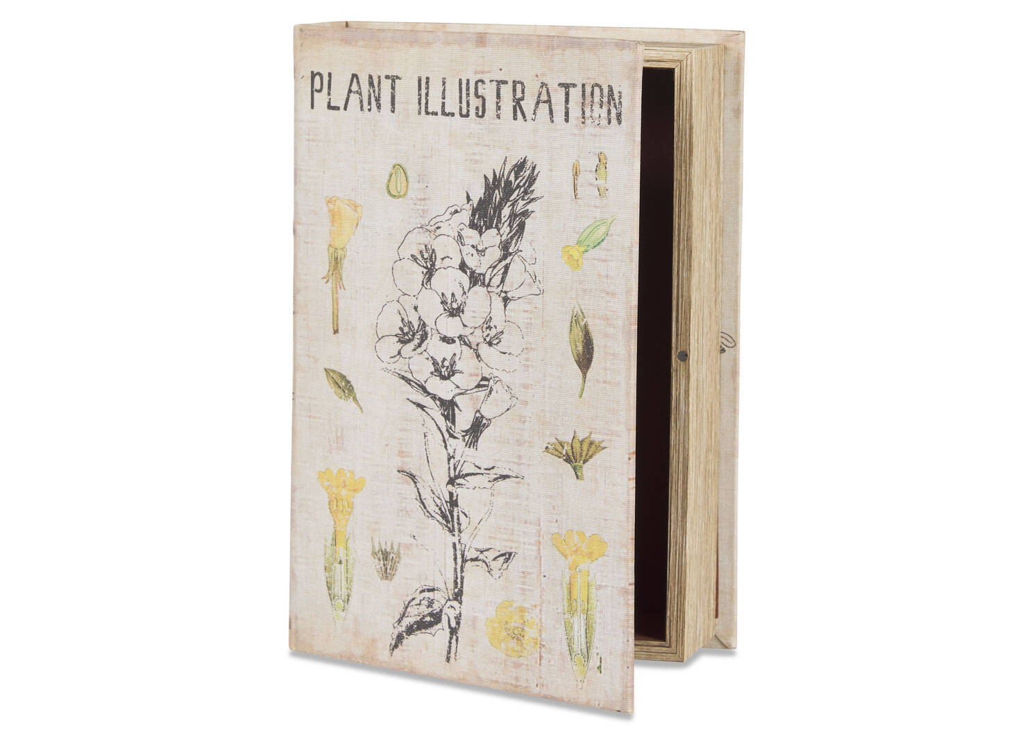 Illustration Book Box Large Ivory