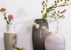 Wynne Vases Blush
