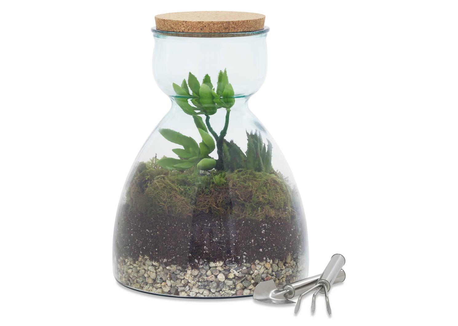 Ensembles terrarium Evie