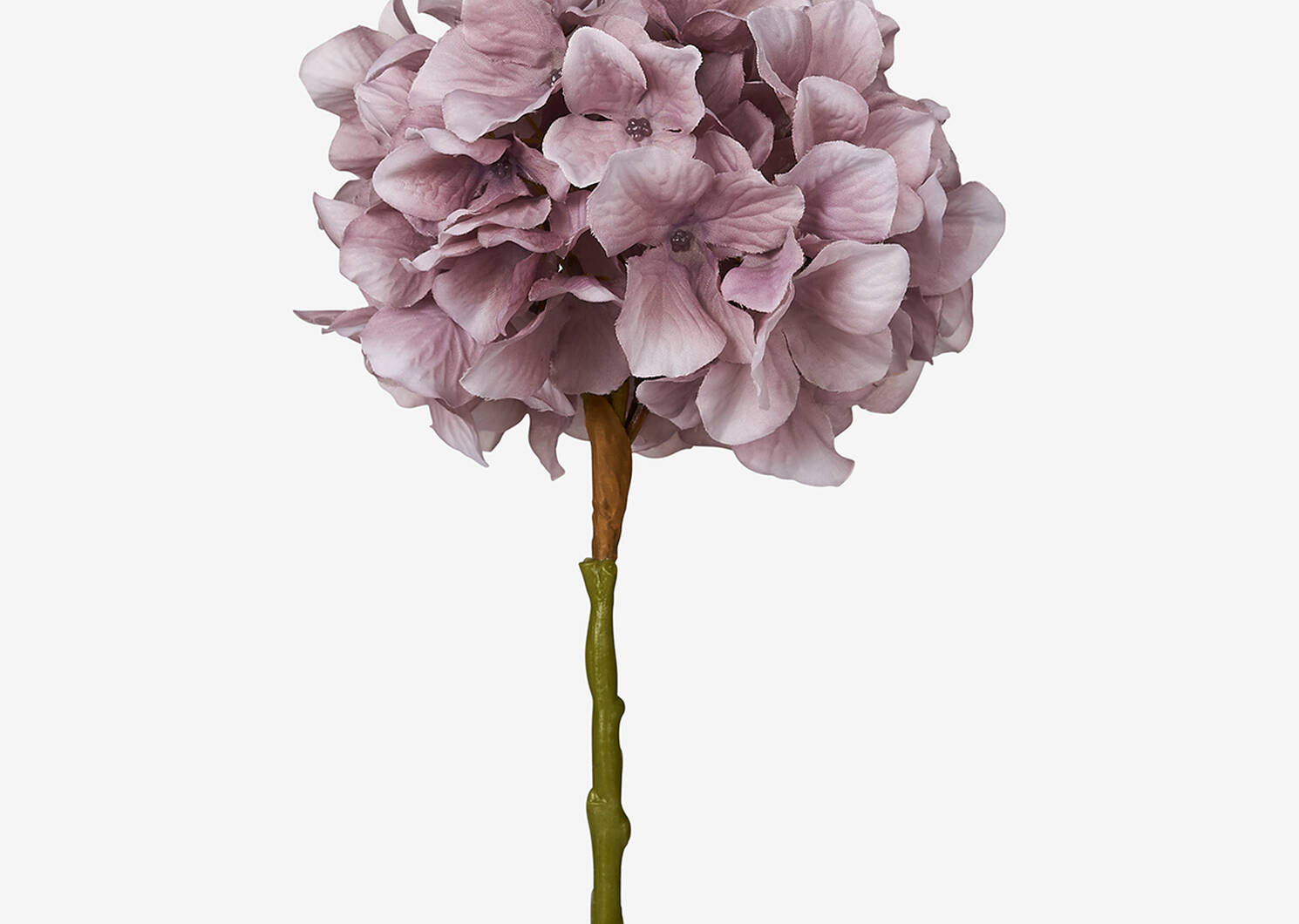 Shae Hydrangea Violet