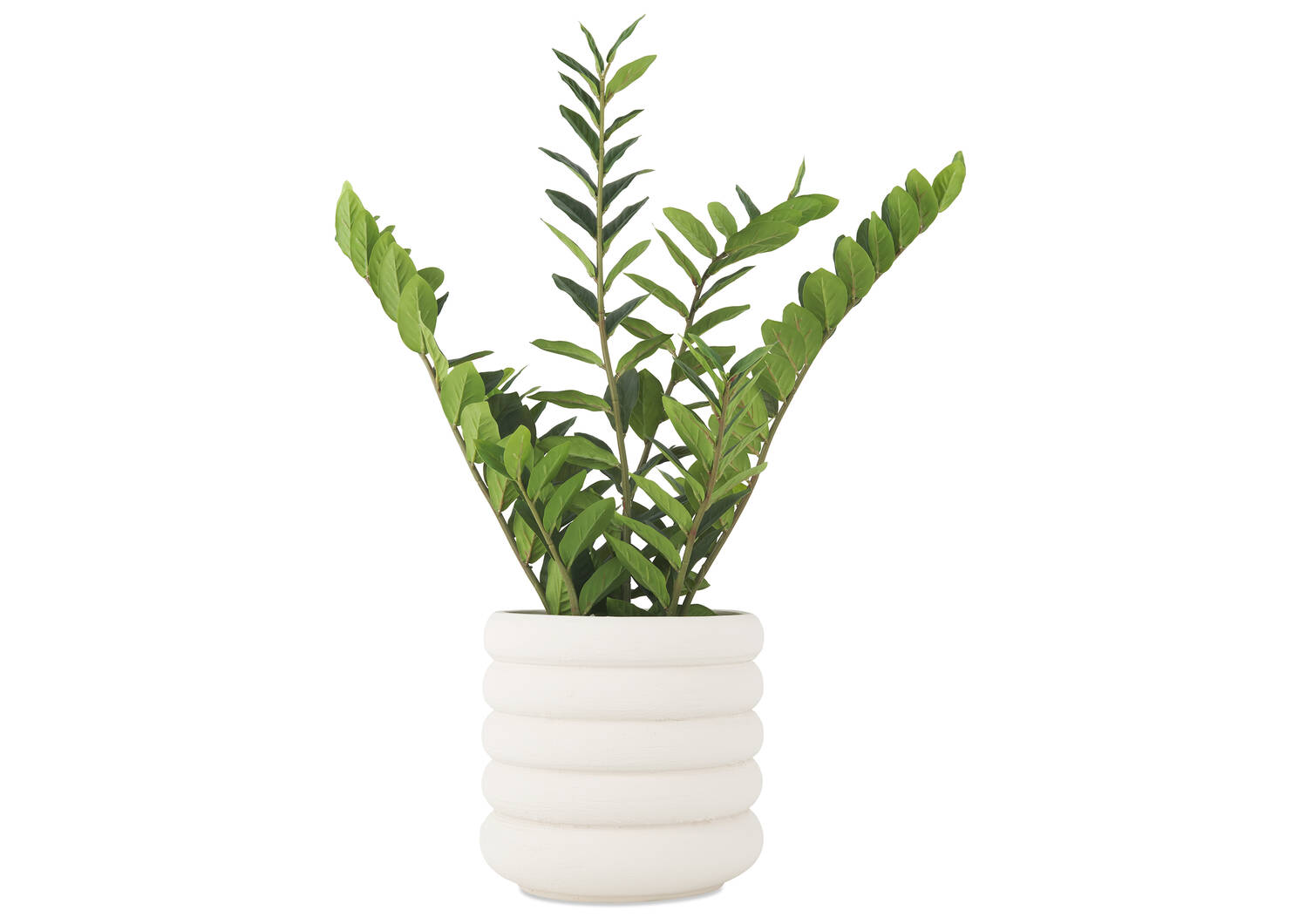 Vannes Planter