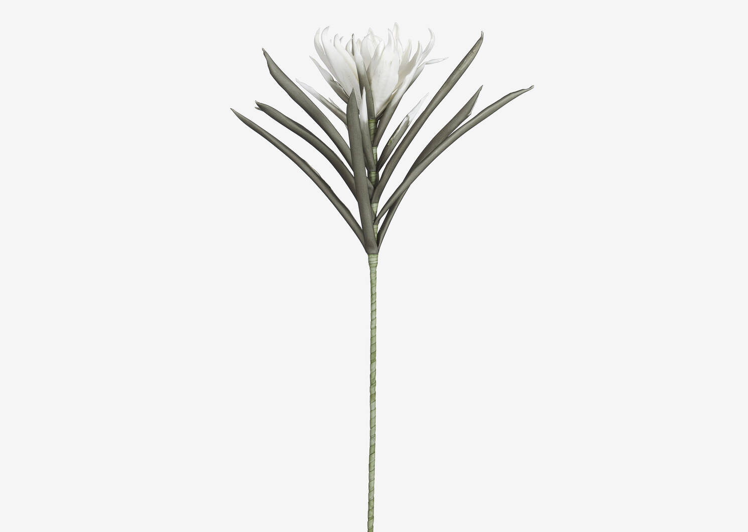 Suvi Flower Stem White