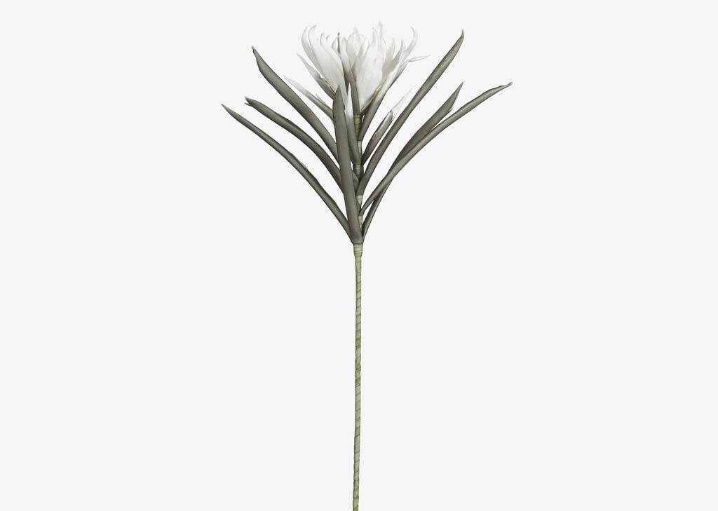 Suvi Flower Stem White