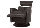 Hendrick Leather Recliner -Tre Brown