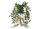 Madelyn Planter White