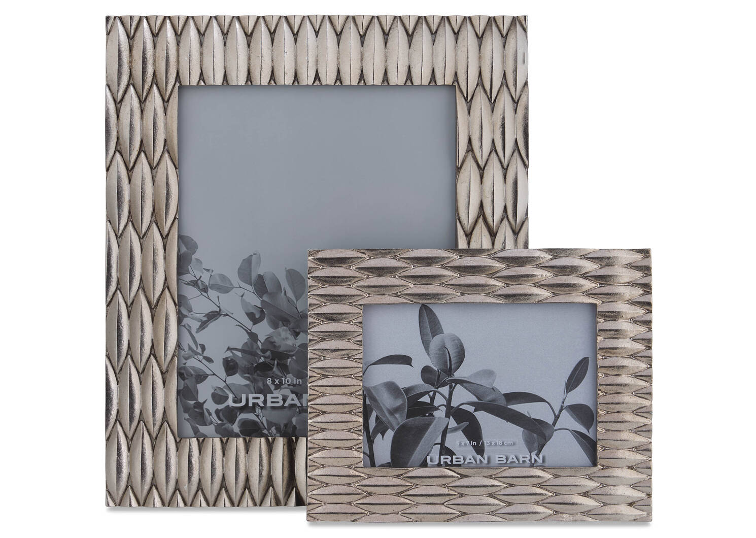 Clementine Frames -Silver